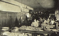  - Český svět 13.1.1905 