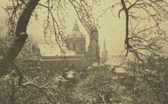 zahrada - Světozor 31.01.1917 