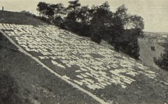 sušení - Český svět 9.6.1911 