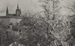 zahrada - Světozor 17.05.1928 