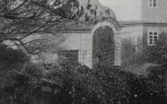 zahrada - Český svět 07.12.1906 