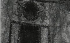 zahrada - Český svět 07.12.1906 