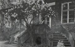  - Český svět 27.05.1910 