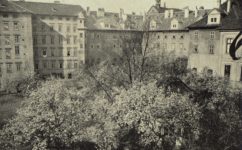 zahrada kláštera Voršilek - Světozor roč. 13. č. 36 